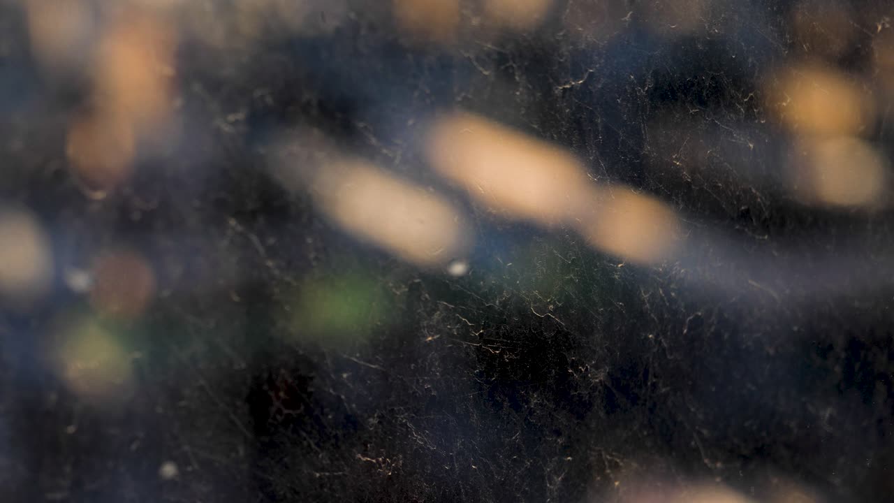 Dirty Window View