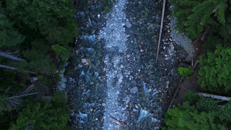 Scenic-bird's-eye-view-of-small-river-creek-flowing-over-Evergreen-Forest-in-the-Pacific-Northwest