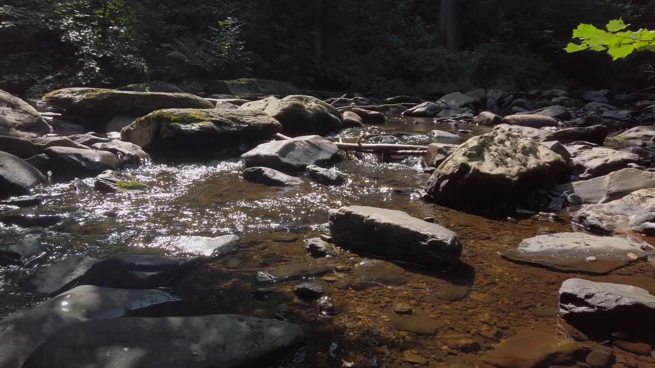 Beautiful Rur river with flowing water and rocks in a forrest of the german Eifel Mountains, very close to Monschau
