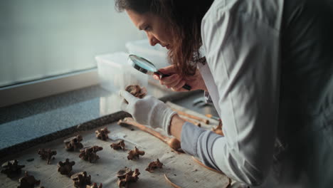 scientist examining ancient bones in laboratory