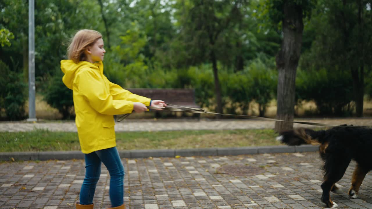 A brunette girl in a yellow jacket walks a dog and holds it on a leash while a pet walks forward along an alley in a park after the rain