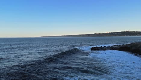panning drone shot of sea lions playing and jumping in the surf as pelicans fly by in la jolla, california