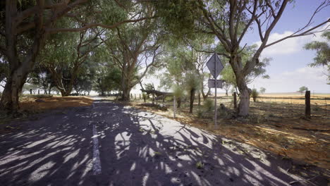 quiet rural road surrounded by trees in open landscape during daylight