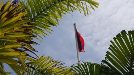 Bandera-Nacional-Filipina-Vista-A-Través-De-Ramas-De-Palmeras-Mientras-La-Cámara-Se-Aleja-Y-Las-Nubes-Son-Simplemente-Encantadoras