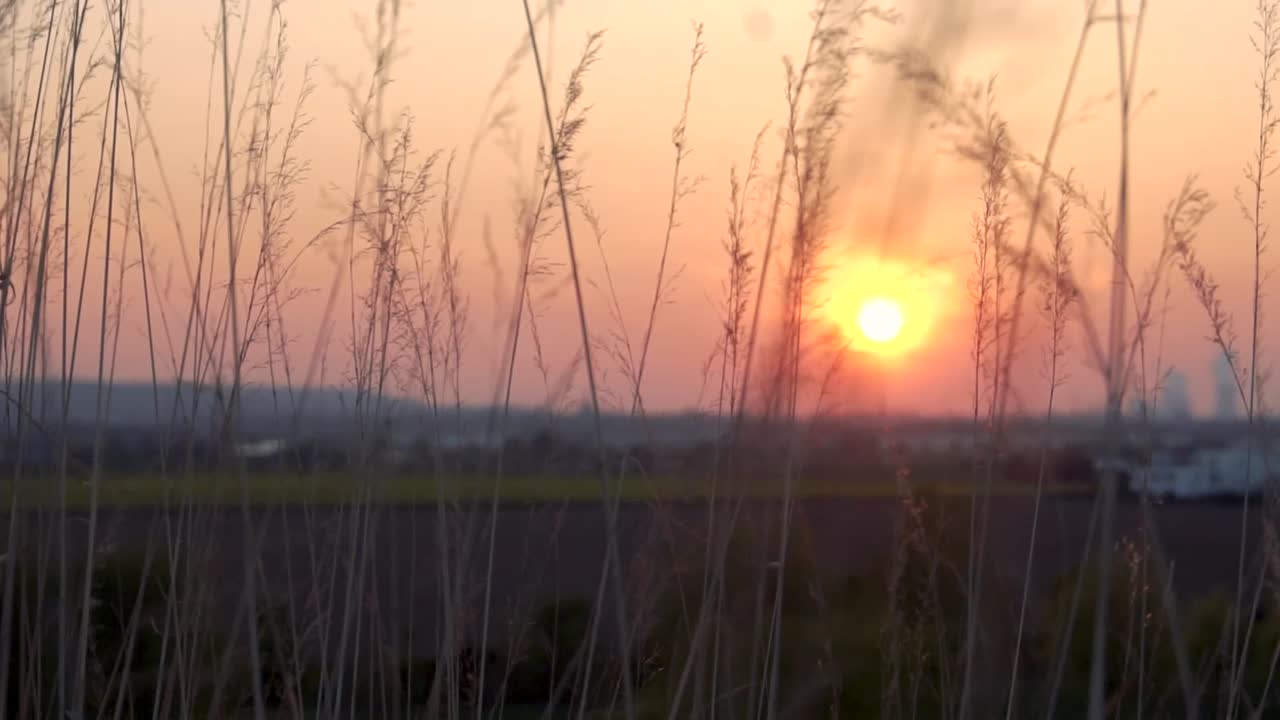 vidrio alto sopla en el viento mientras se pone el sol