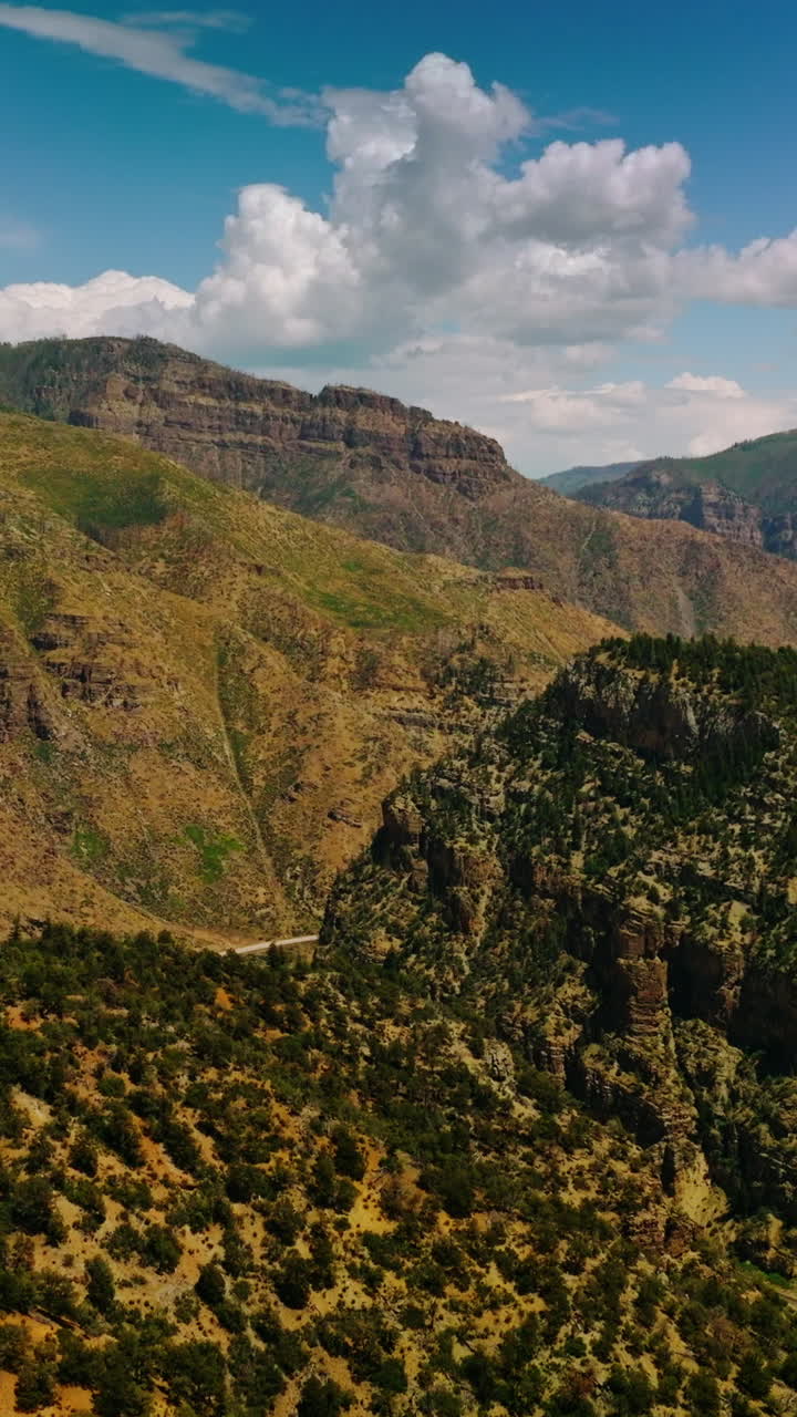 Flying above the mountains overgrown with pine trees and bushes. Two highways winding among the mountains in Colorado. Vertical video