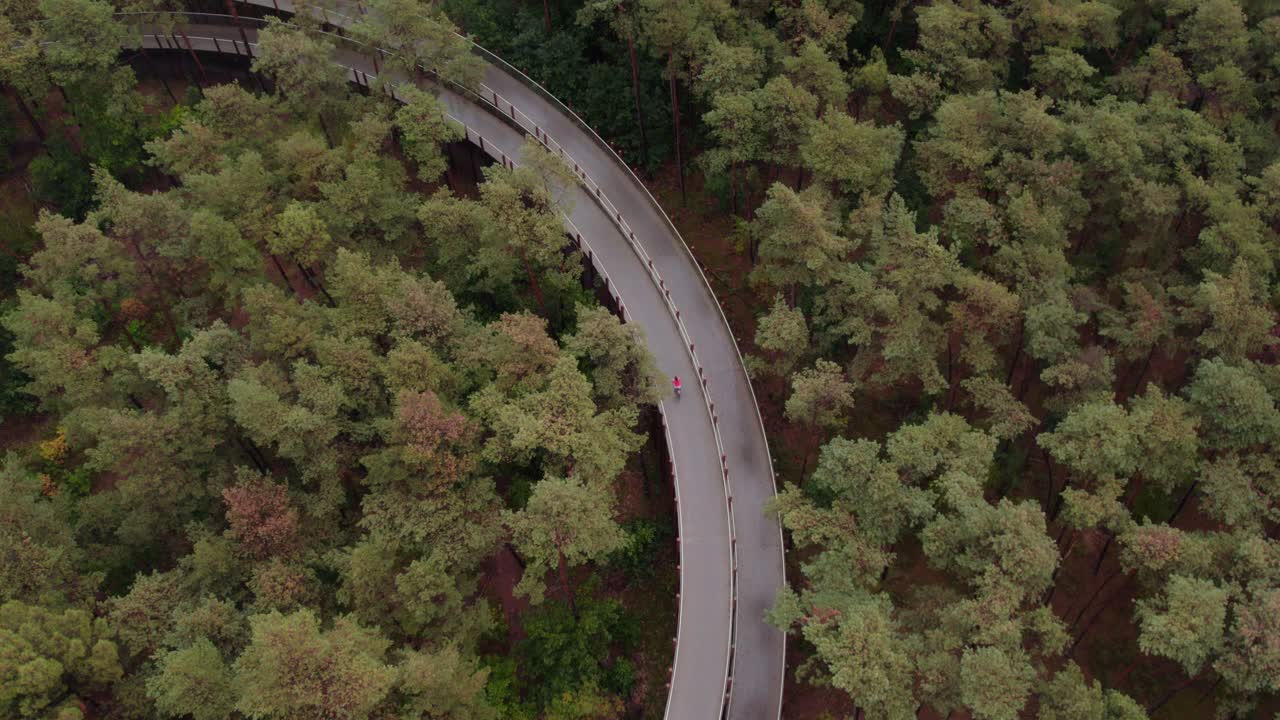 벨기에의 fietsen deur de bomen에서 자전거를 타고 있는  ⁇ 은 재 ⁇ 을 입은 여성
