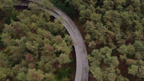 Frau-Mit-Roter-Jacke-Fährt-Auf-Einem-Fahrrad-Beim-Radfahren-Durch-Die-Bäume-In-Belgien,-Luftaufnahme