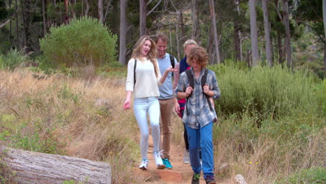 family walking on a country path near a forest