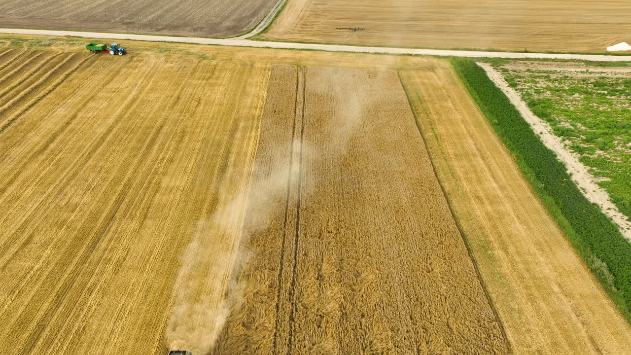 воздушный вид комбайна, работающего на пшеничном поле, создавая следы пыли
