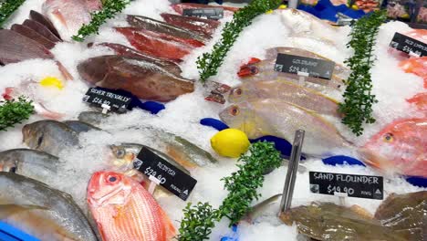 variety of seafood on ice at market