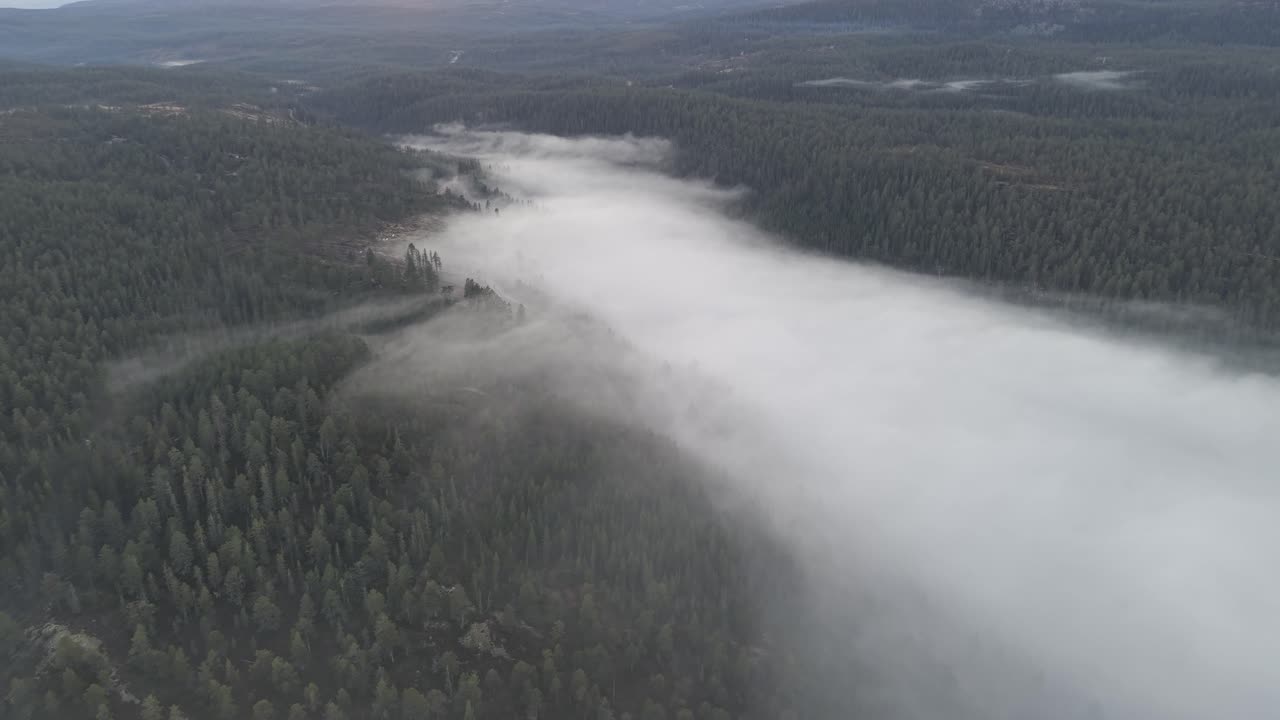 Uma névoa sobre as florestas no sul da Noruega. Filmagem com drone.