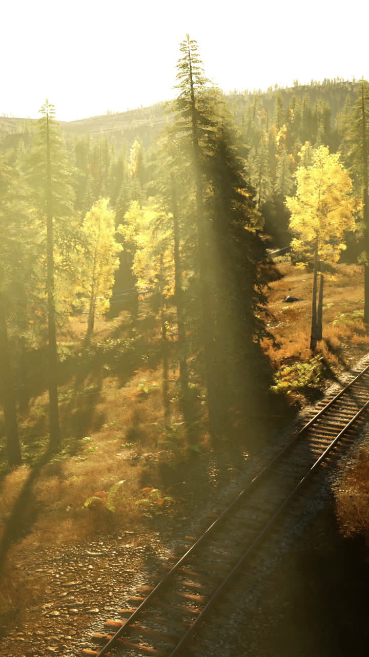 철도 트랙 이 있는 아름다운 숲 풍경