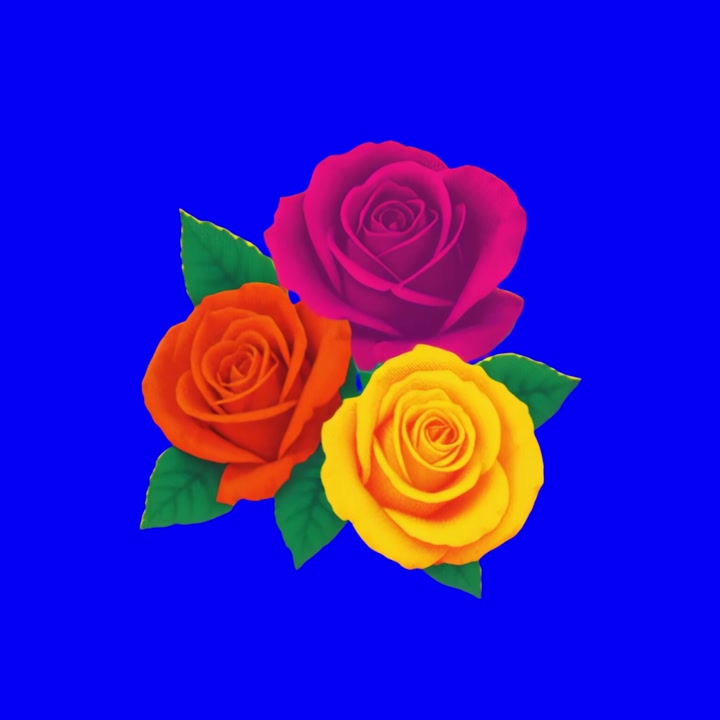 Tres rosas vibrantes en rosa, naranja y amarillo sobre fondo azul