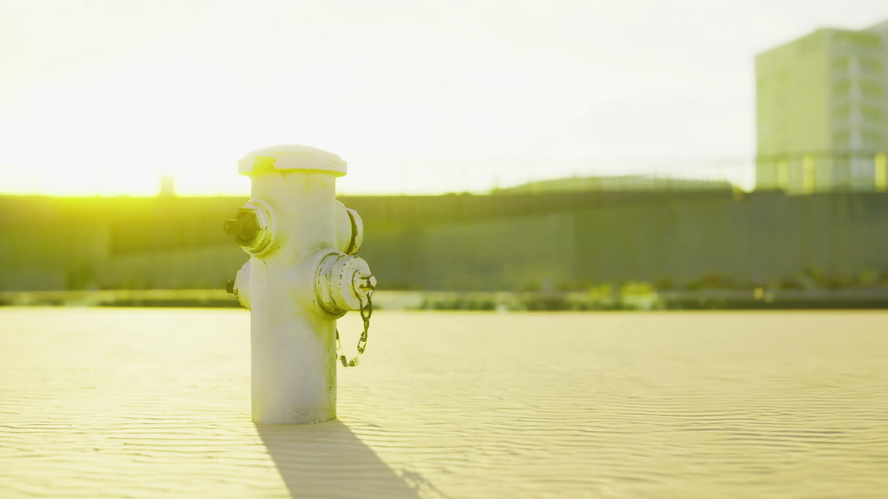 Bright sunlight illuminates a fire hydrant in an urban environment