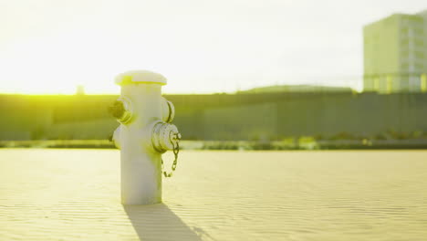 bright sunlight illuminates a fire hydrant in an urban environment