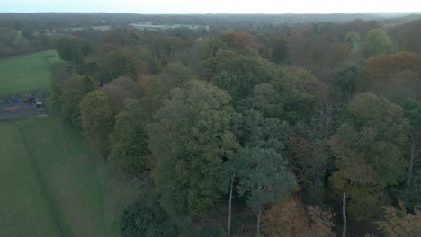 Strafing-from-the-right-to-the-left-over-the-trees,-pasture-land,-and-a-motor-pool-for-farm-equipment-in-a-distance,-located-in-a-farm-in-Thetford,-Norfolk-county-in-Great-Britain