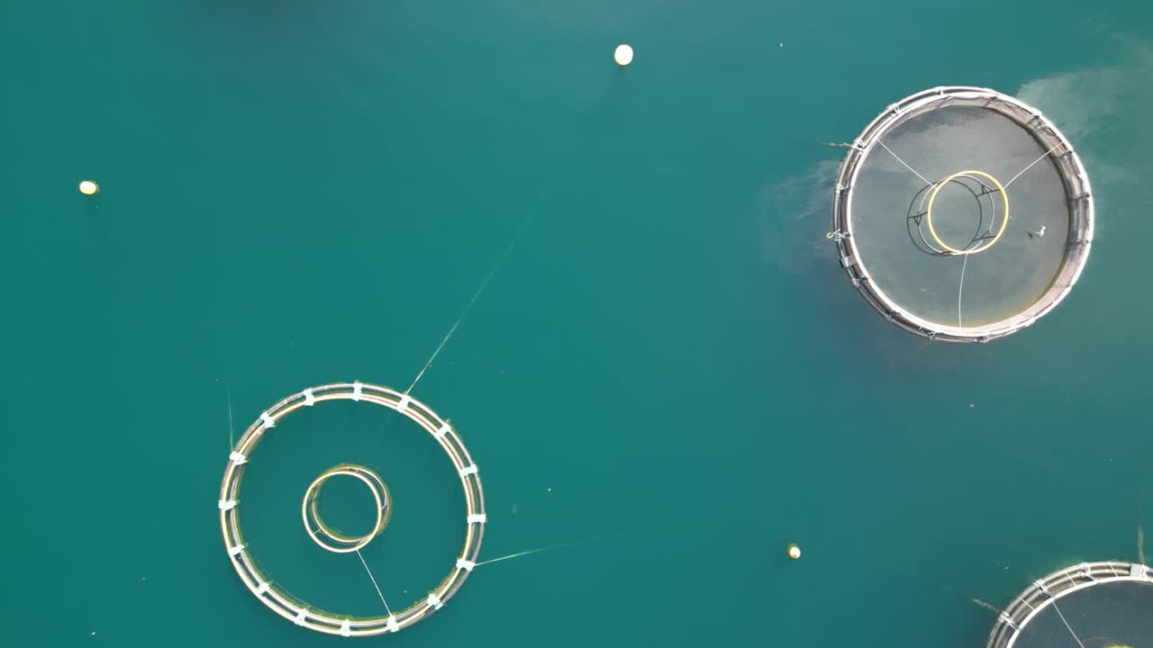 Drone Orbits Above Farm Fishing Units in Deep Sea Water