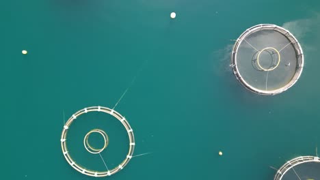 drone orbits above farm fishing units in deep sea water