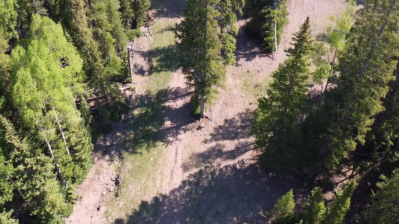 sendero revelador en las montañas rocosas durante el verano
