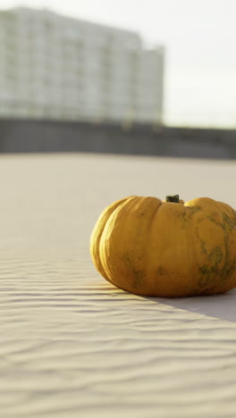 unique pumpkin rests on sandy surface under soft evening light