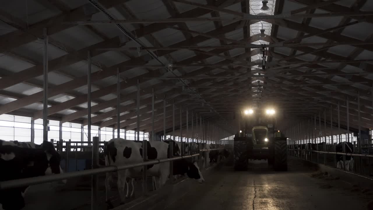 Traktor in einem modernen Milchviehstall