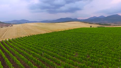 antena sobre campos agrícolas cultivados en europa del este 2