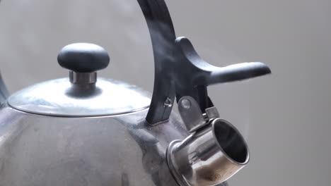 steam from an open kettle spout with boiling water