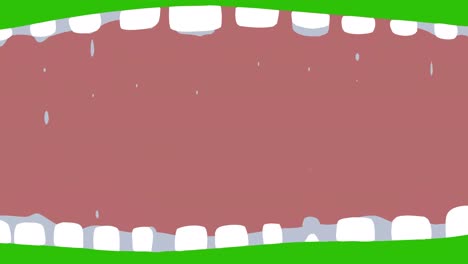 fondo verde sólido