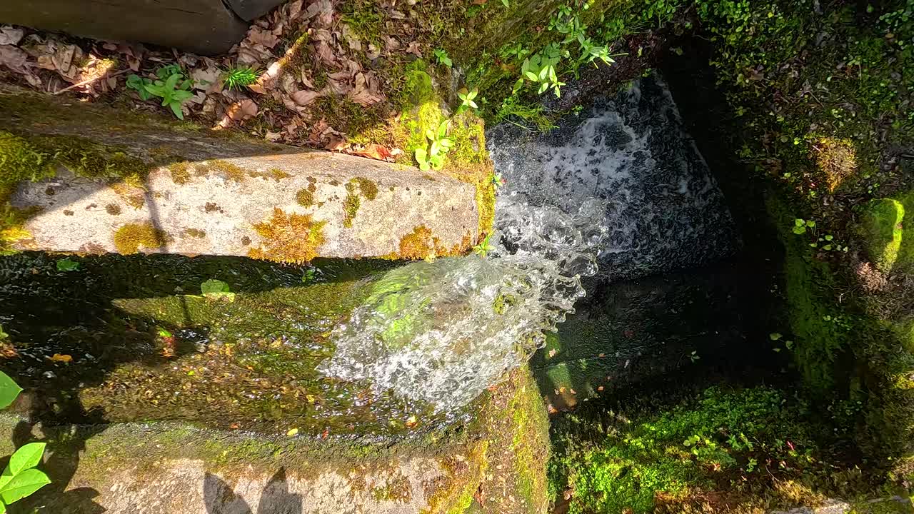 Water flowing over mossy stone steps