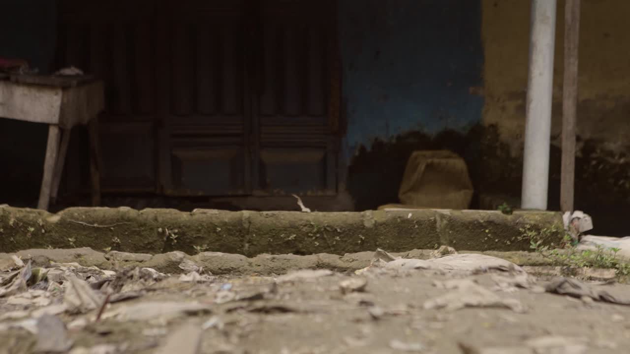 빈민가 나이지리아 02의 아이들