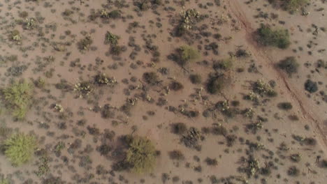 AERIAL---Drone-Overhead-Shot-of-Desert-Landscape