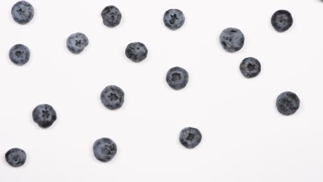 blueberries are laid out one by one on a white background. movement from right to left. top view. loop motion. rotation 360.