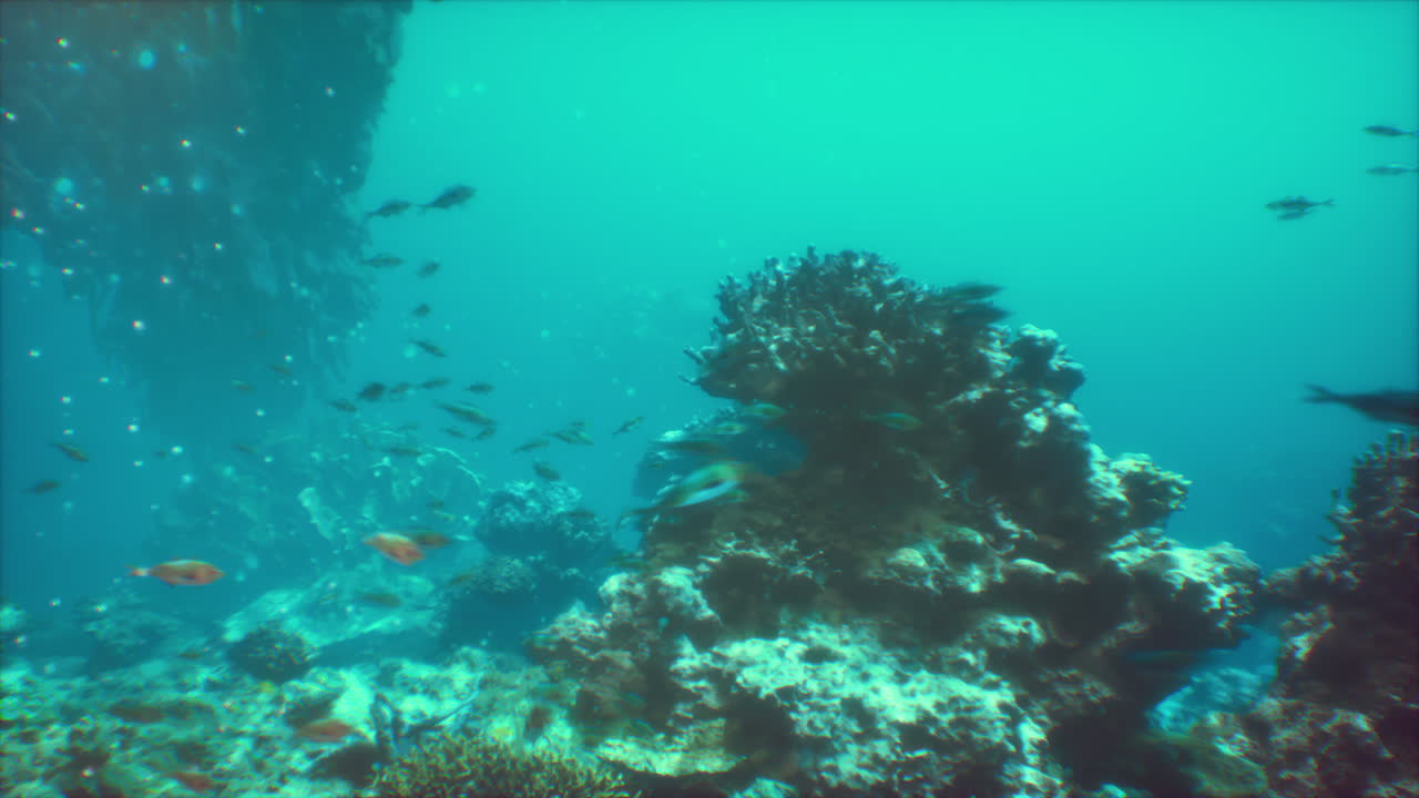 escena submarina vibrante con arrecifes de coral y peces tropicales