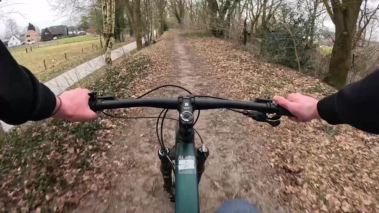 Video of a mountain bike ride in forest