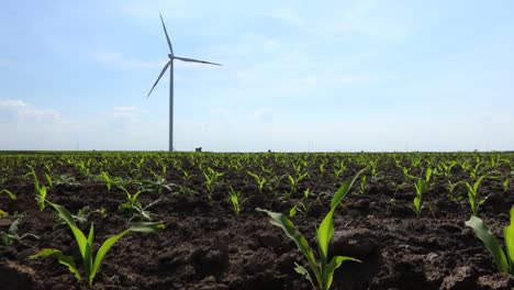 view on windmill, wind generator, turbine, producing renewable clean energy by converting kinetic energy