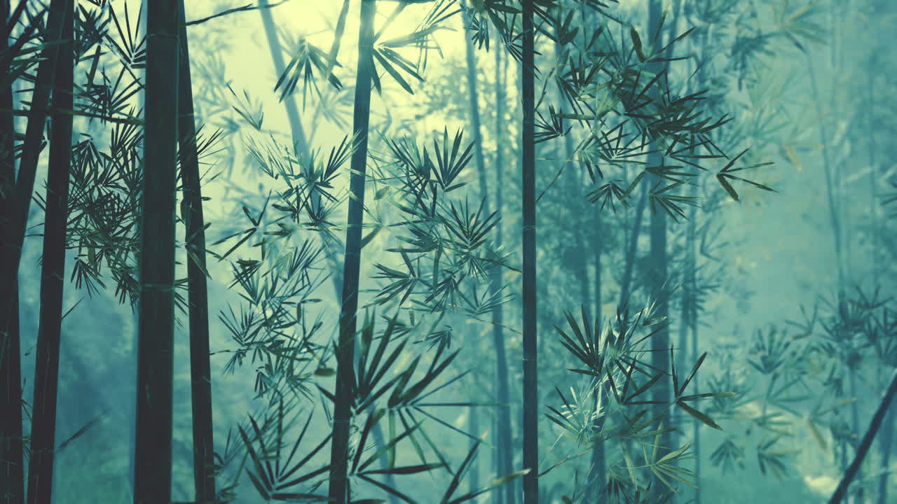 bosque de bambú asiático con tiempo de niebla matutina