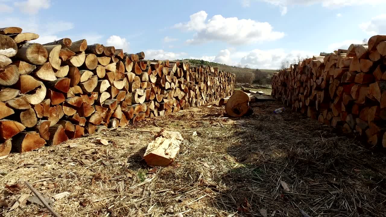 fondo de madera natural - primer plano de leña cortada. leña apilada y preparada para el invierno pila de troncos de leña