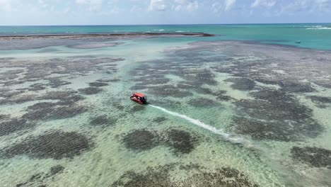 natural pools at sao miguel dos milagres in alagoas brazil