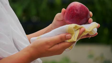 closeup of female hand cleaning and wiping an fresh apple with kitchen towel, apple in hand