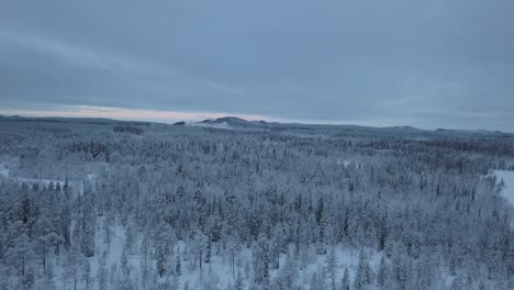 The-frozen-lake-and-forest-near-Borgvattnet,-Sweden