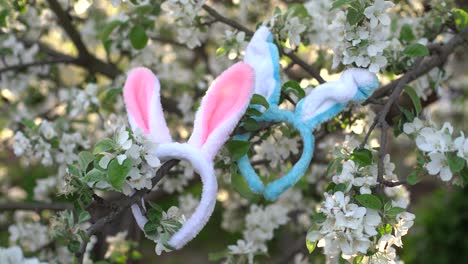 rabbit-ears-on-flowering-trees,-Easter