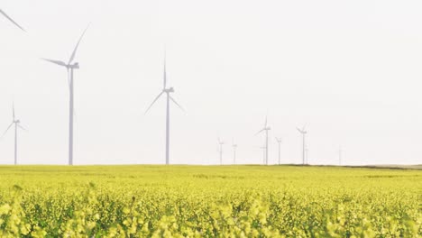 Gesamtansicht-Von-Windkraftanlagen-In-Ländlicher-Landschaft-Mit-Wolkenlosem-Himmel