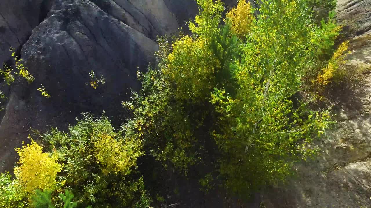 paisaje de otoño con sendero para senderistas