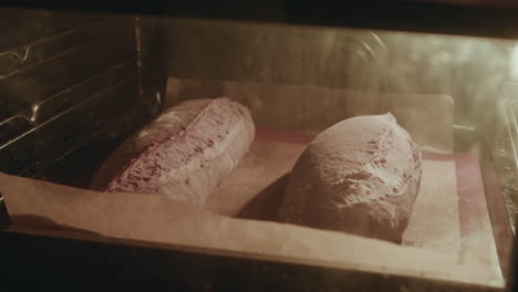 timelapse of baking loaf of bread oven spring and expanding, growing and crunching of dough