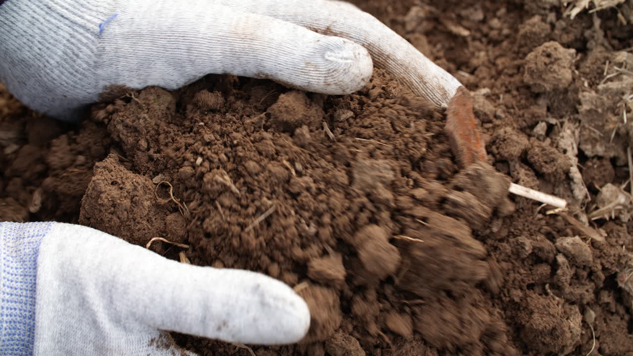 Contadino che esamina il terreno tra le mani: Agricoltura 1