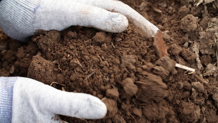 Contadino che esamina il terreno tra le mani: Agricoltura 1
