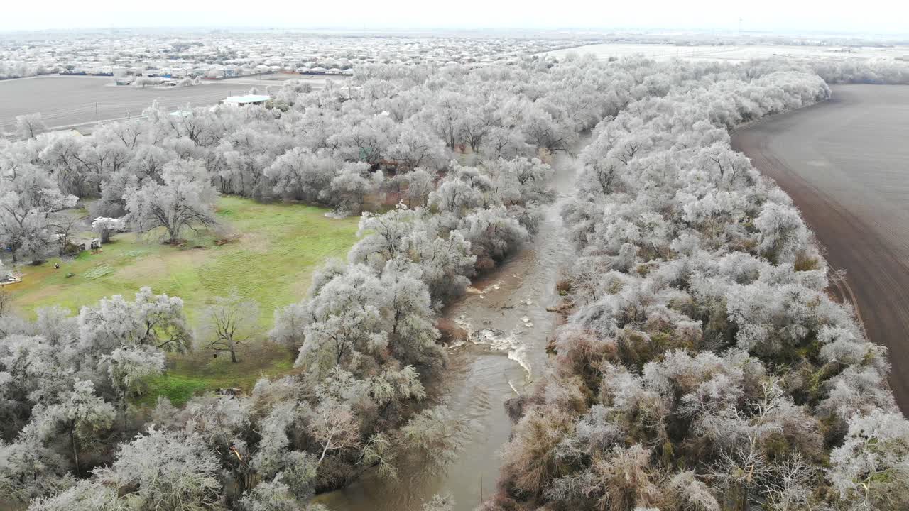 Sorvolando un'ampia distesa di alberi ricoperti di ghiaccio.