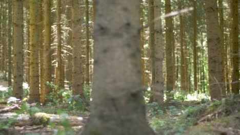 woman doing sprints in a wooded area of a park as part of her conditioning routine