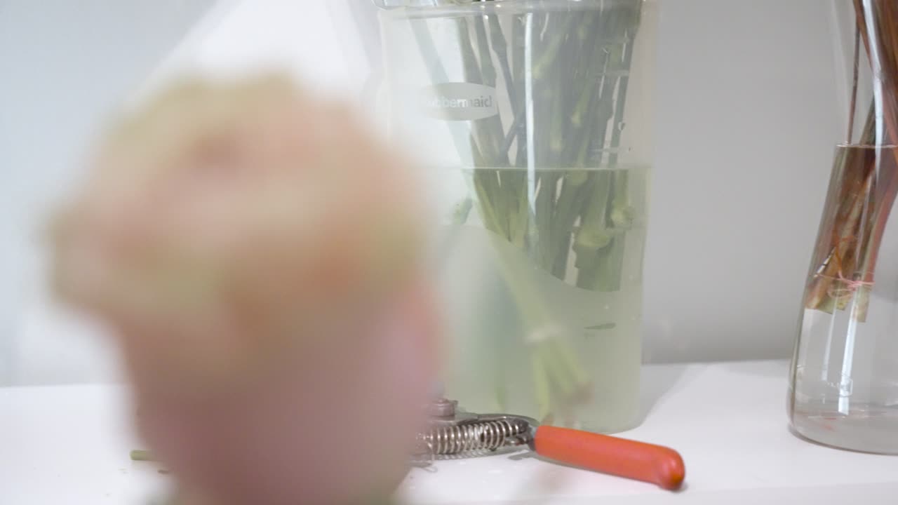 limpiar una rosa, quitar las hojas y los pétalos adicionales